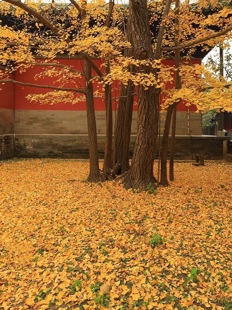 人和人,别说配不配(太现实了)