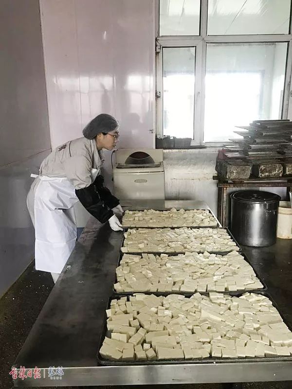 吉农创业85后豆腐西施小作坊做成大产业