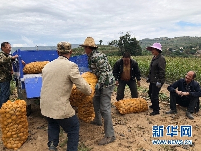 总脱贫人口_脱贫攻坚图片