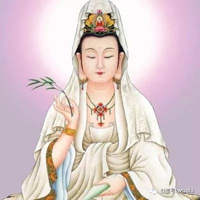 视频告诉你真实的观音菩萨