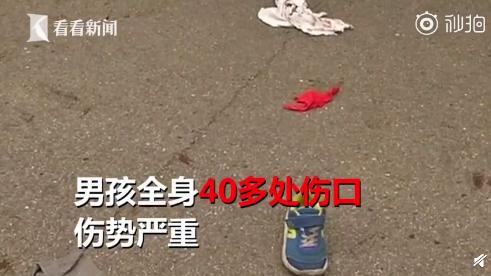 请点击输入图片描述 请点击输入图片描述 最近,武汉一名8岁男孩骑车