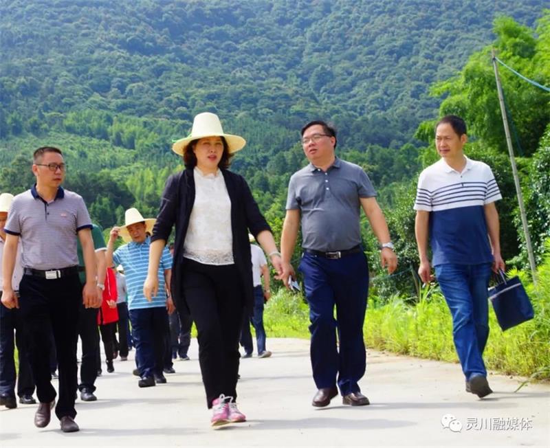 灵川县县委书记赵奇玲(左二)在青狮潭水库调研