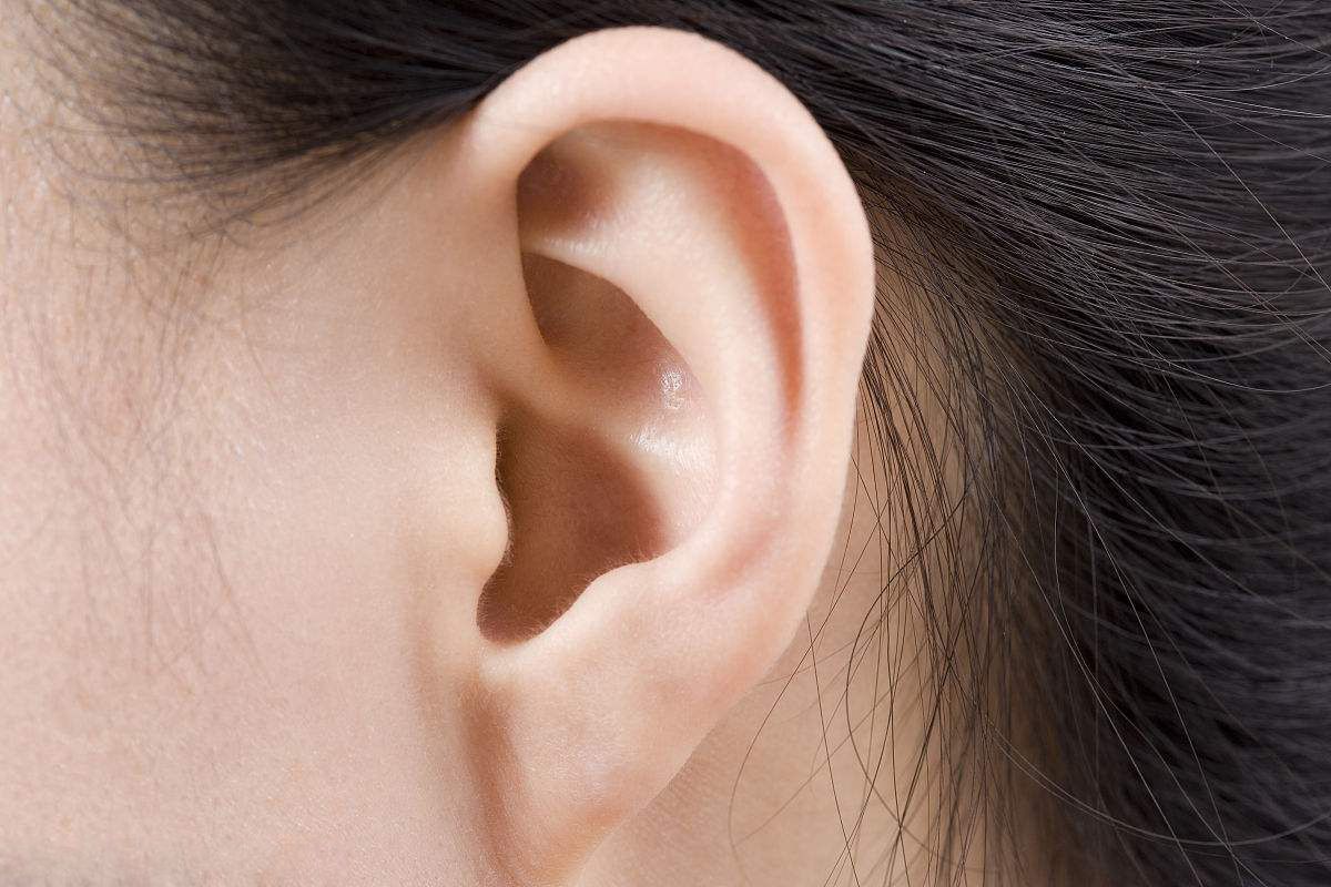外耳中耳内耳的解剖图_百度知道