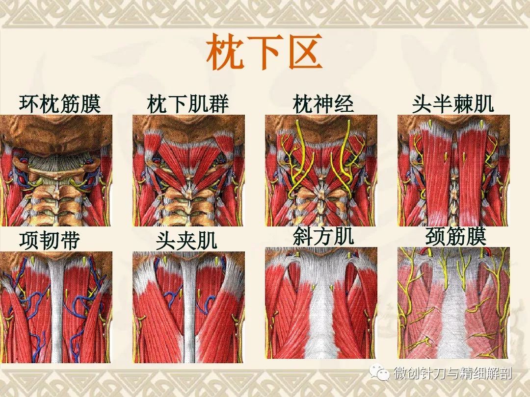 椎动脉型颈椎病