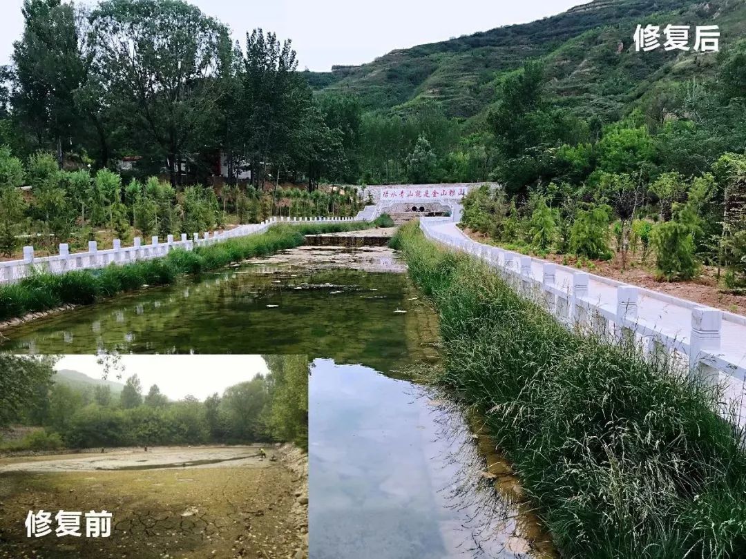 夏县白沙河水库水源地保护项目环境修复 晋善晋美掠影丨建设中的张家