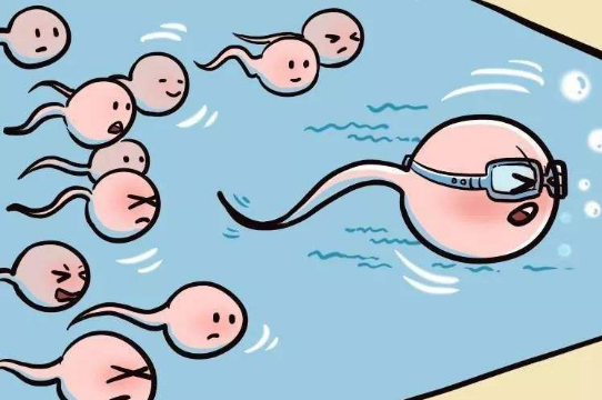 女人受孕的过程是怎样的?这些常识,备孕夫妻要