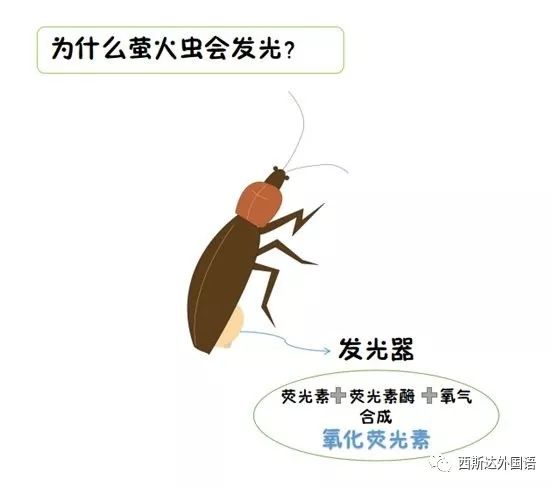 怎么变得有趣一点 3d941238d6dd4147b71c9480d9e00209.jpeg