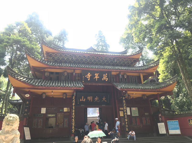 为什么你看了那么多攻略还玩不转峨眉山
