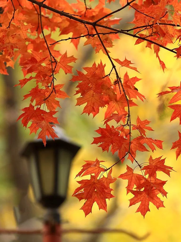 人和人,别说配不配(太现实了)