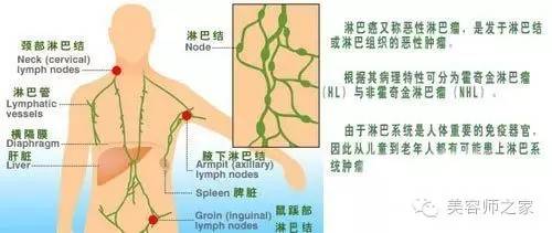 腋下淋巴堵塞的危害