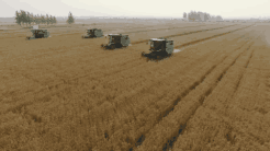 59f7138b76144c1e9ea406dc8dc5541a.gif