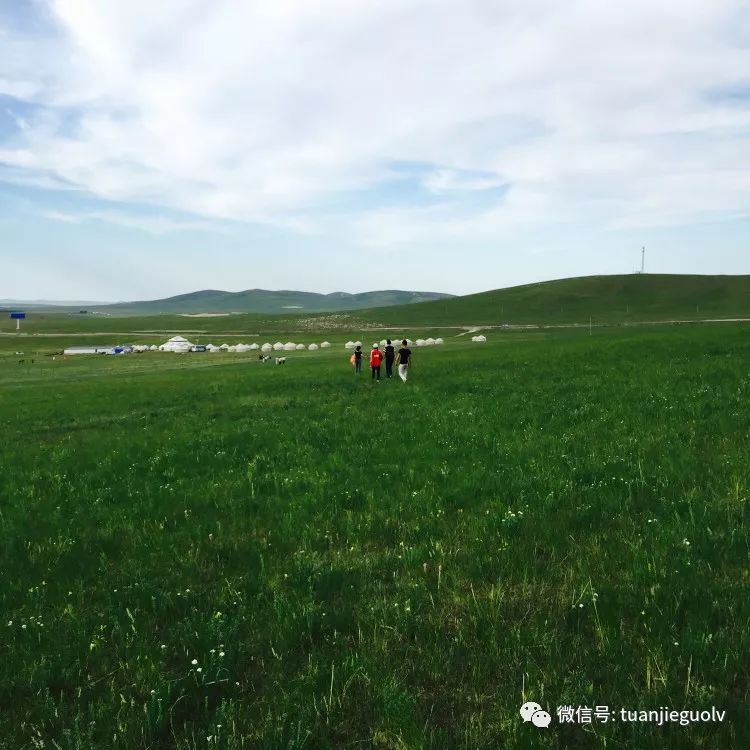 驰骋查日苏草原活力1日游