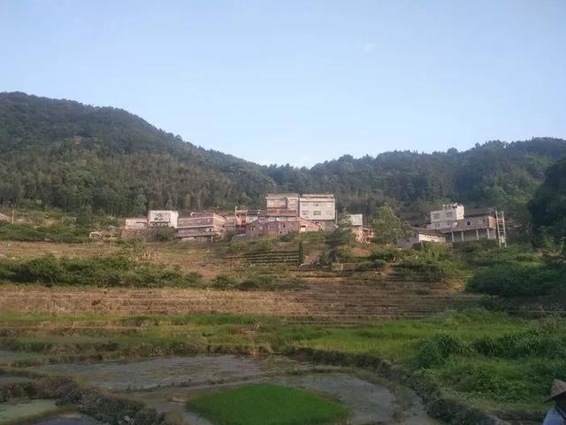 西洋村人口_文山广南县西洋村风景