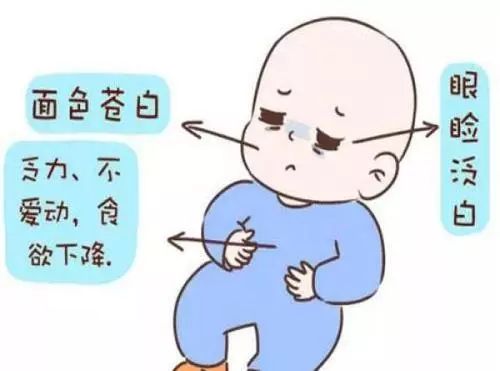 宝宝不活泼,爱哭闹?可能与缺铁性贫血有关