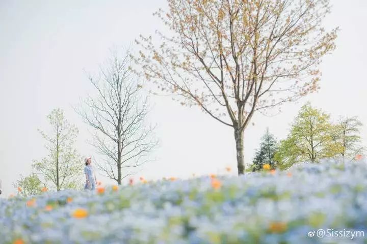 冬季怎么过周末 706207fd11f14a00a74fee2c1f61acd2.jpeg