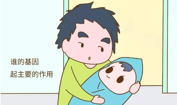 孩子的智力,遗传于妈妈还是爸爸?答案原来是这样的