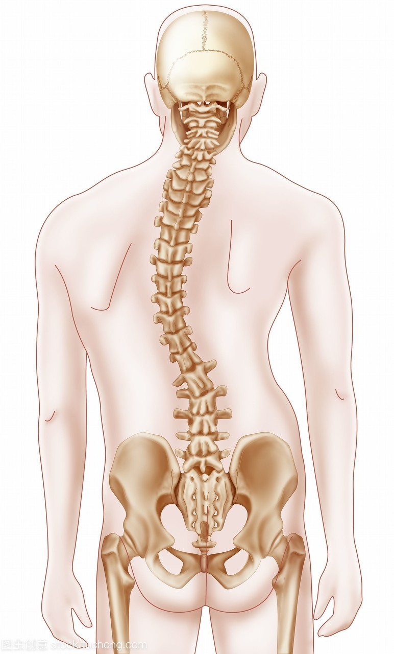 孩子脊柱有没有向一侧弯曲,两肩是否等高 肩胛骨不对称:双手触摸孩子