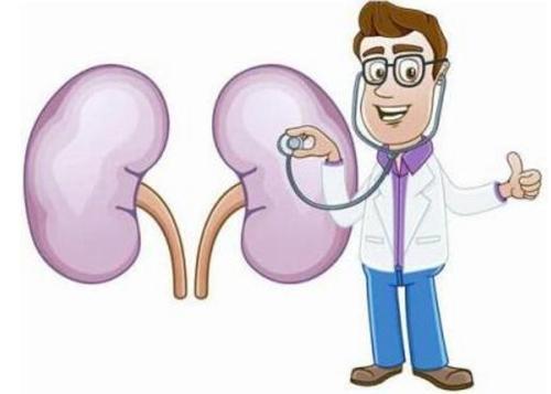 如何正确减肥不伤肾 78f2087d73a4494ab9219f2255b612fa.jpeg