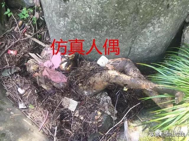 屏山一水潭惊现"女尸",真实身份令人虚惊