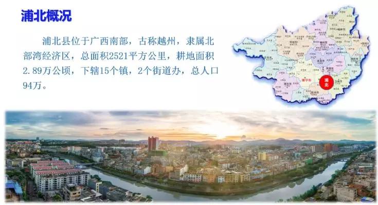 政府招商|浦北县2019年上海招商推介会在上海市广西商会顺利举行