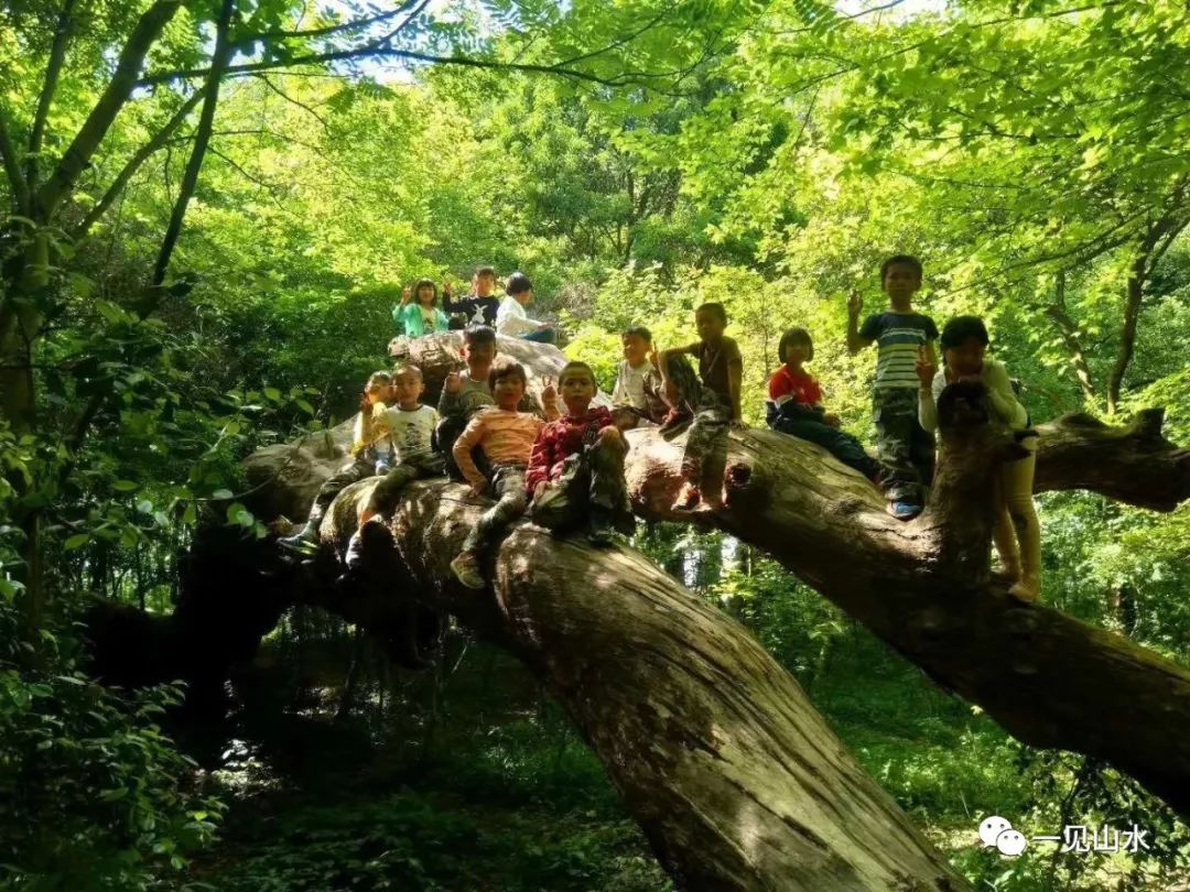 2019 芬兰自然与科学主题夏令营--学游芬兰，以自然之名【成都游学汇】 - 知乎