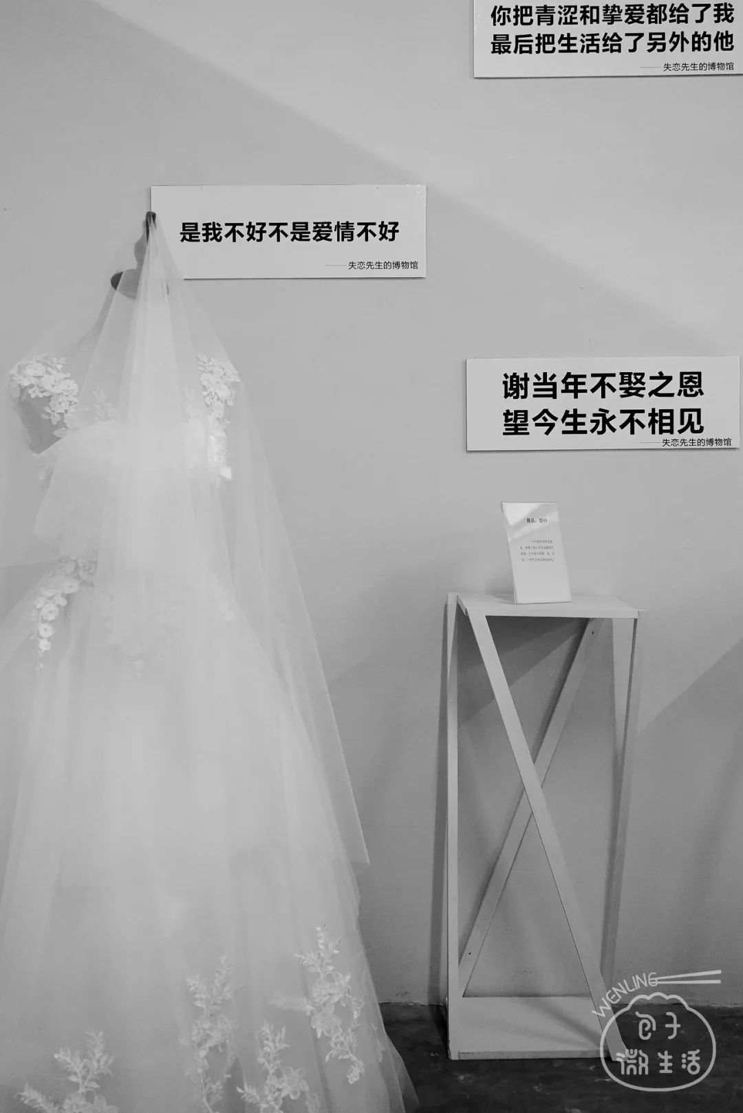 温岭婚纱礼服_温岭婚纱门图片(2)