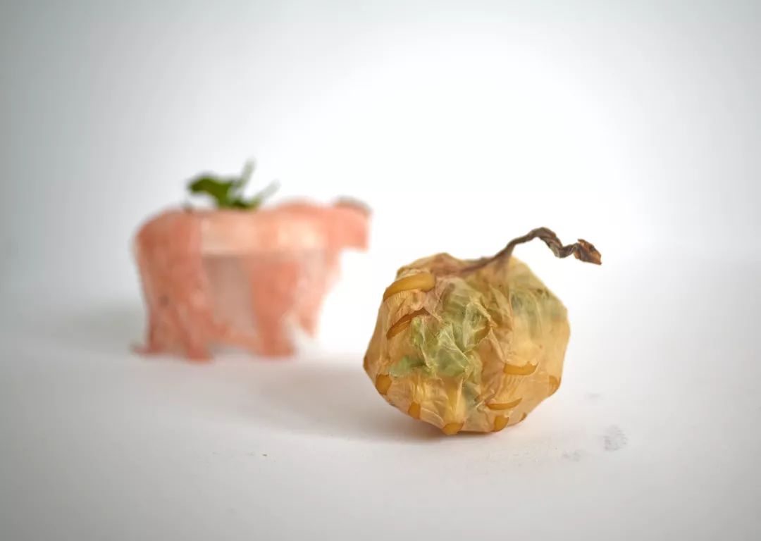 塑料是用什么原料制成的 9c38b2b8617e4969a1a4d1fbe066f9a3.jpeg