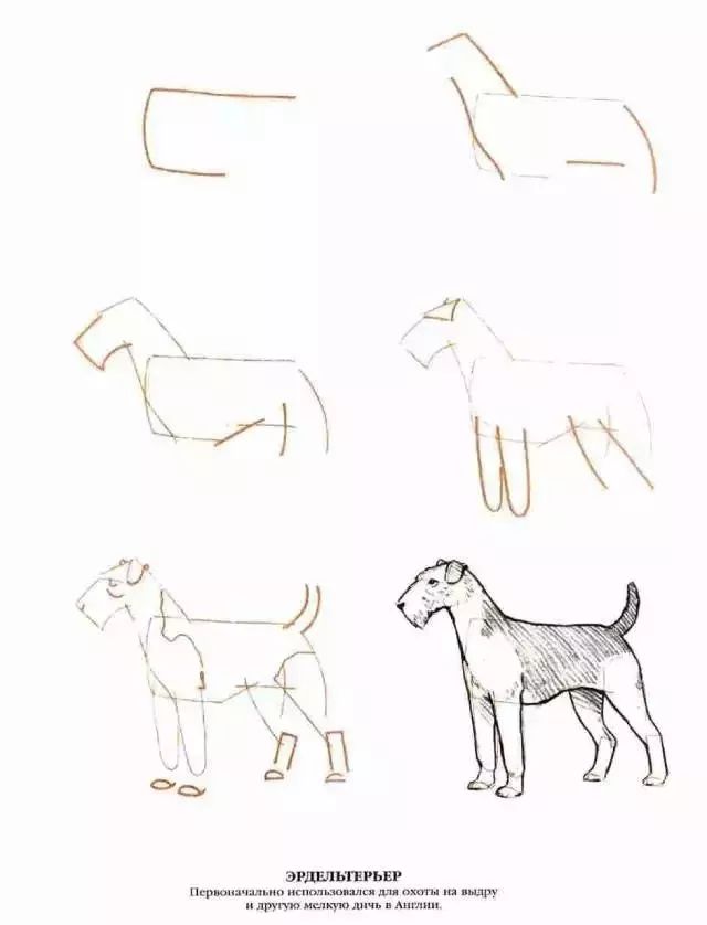 a16756b3bc0048f681a99198f436ecbb.jpeg