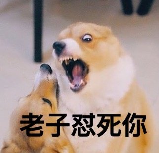 表情包也不总是恶搞,可爱的萌宠表情包总能逗人会心一笑~ 责任编辑