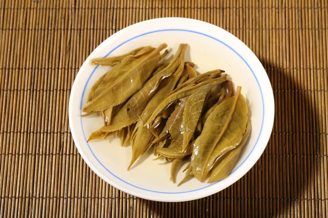 练成普洱茶品鉴高手最后一招—看叶底