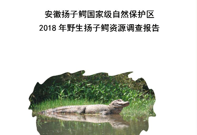 最新调查数据显示:安徽扬子鳄国家级自然保护区实见野生扬子鳄数量较