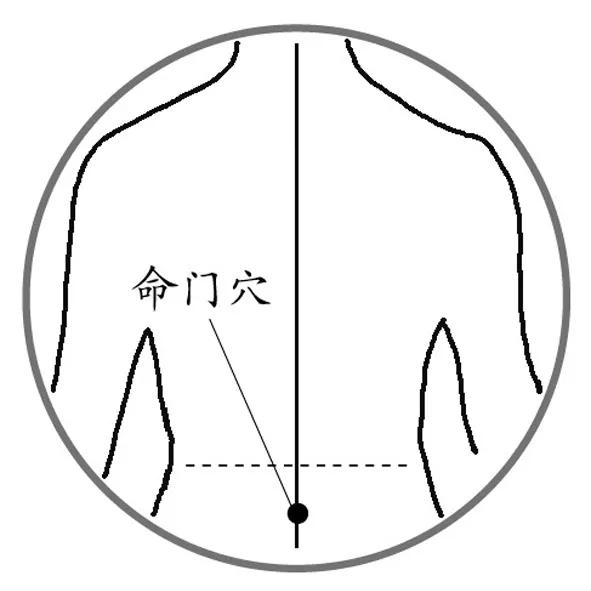 为保健要穴,有调理气血,培元固本的功效.