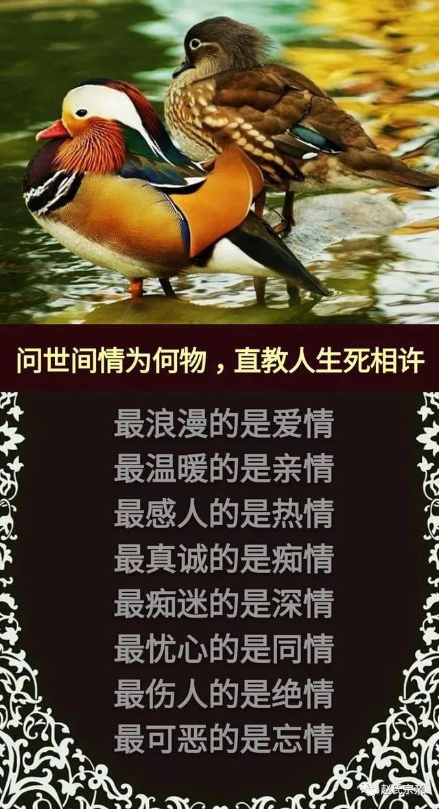 c190df9a1ab3460b80388a1277d006bb.jpeg