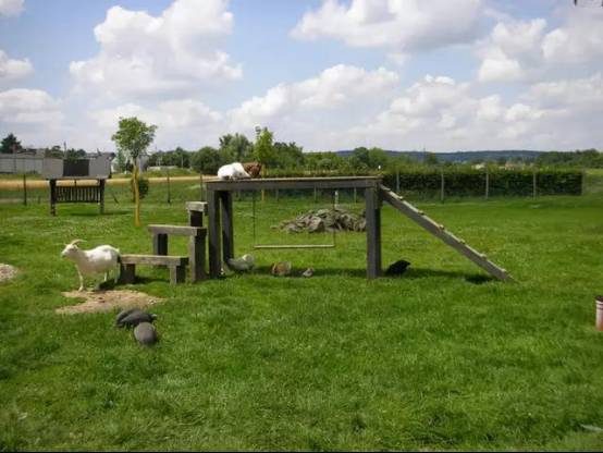 啥叫有机农业 caf20ca25c3a46b68b40143ae73c9596.jpeg