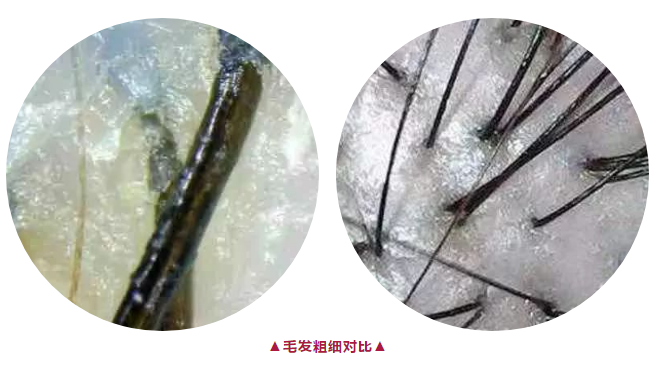 cba2b3884f824618ad2c07d14295398e.png