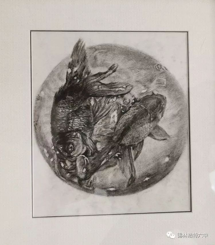 锡林浩特六中2019美术专业班精微素描作品展开展啦
