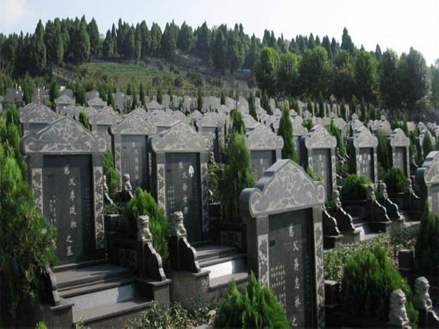                     除了“墓地”，这3个地方也尽量少带孩子去，家长别不当回事
