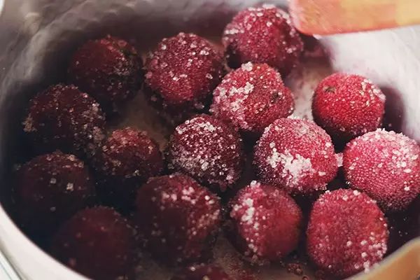 黄连杨梅猜成语_杨梅演员