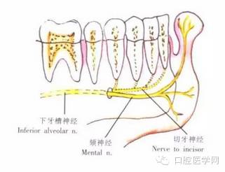 口腔颌面外科排名_口腔颌面外科