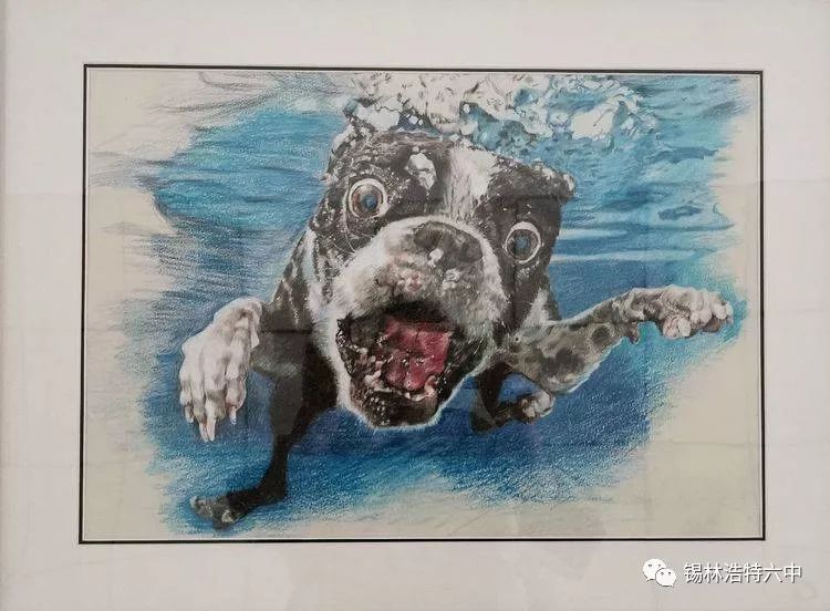 锡林浩特六中2019美术专业班精微素描作品展开展啦