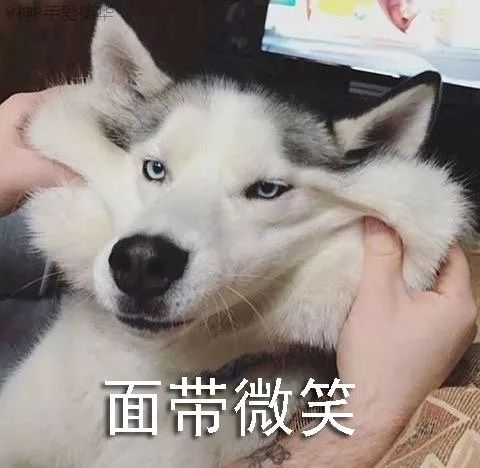 03b675302b1c420897ad9c21dd86314a.jpeg