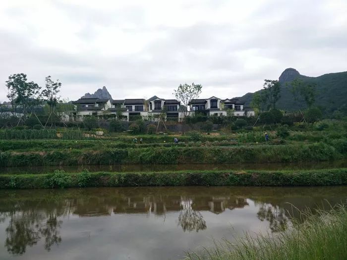 圣泉寺,桃花洞等景点进行实地考察,为进一步了解萧县的萧国文化,书画