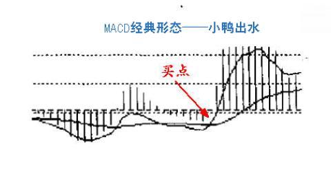 福星天选几人口d概率高_天选福星塔姆图片(2)