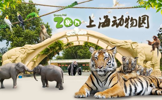 上海动物园又开新展区啦!