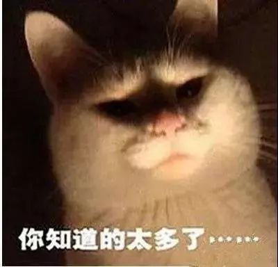 沙雕表情,生活不易,猫猫叹气