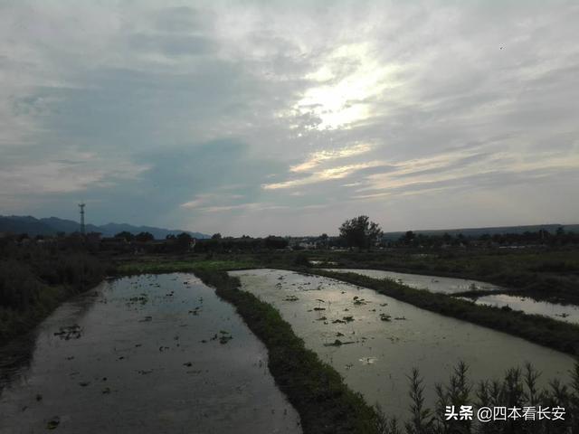昨夜的风雨很大