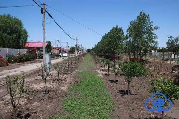 臧村刘庄村人口_济宁市任城区北刘庄村(2)