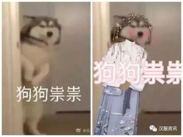 33dd9a7e9fe346af9ee9fd6fdb84cd3d.jpeg