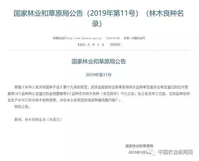 农民朋友国家公布最新的林木良种名录聪明人已经完美电竞看到商机了!(图4)