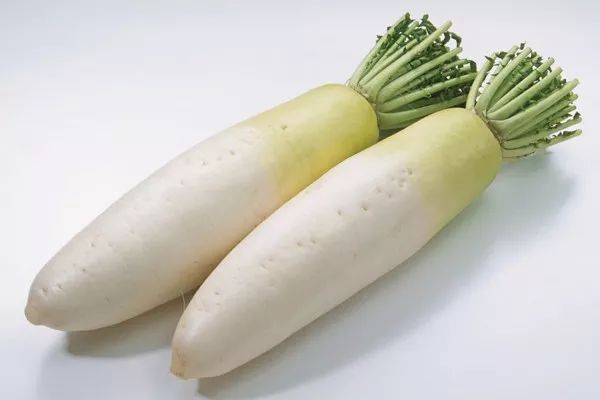 什么时候种白萝卜最佳 3b77b2c952e540c6a946d49f3e420927.jpeg